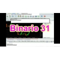 Binario forex Expert Advisor - automated trading system